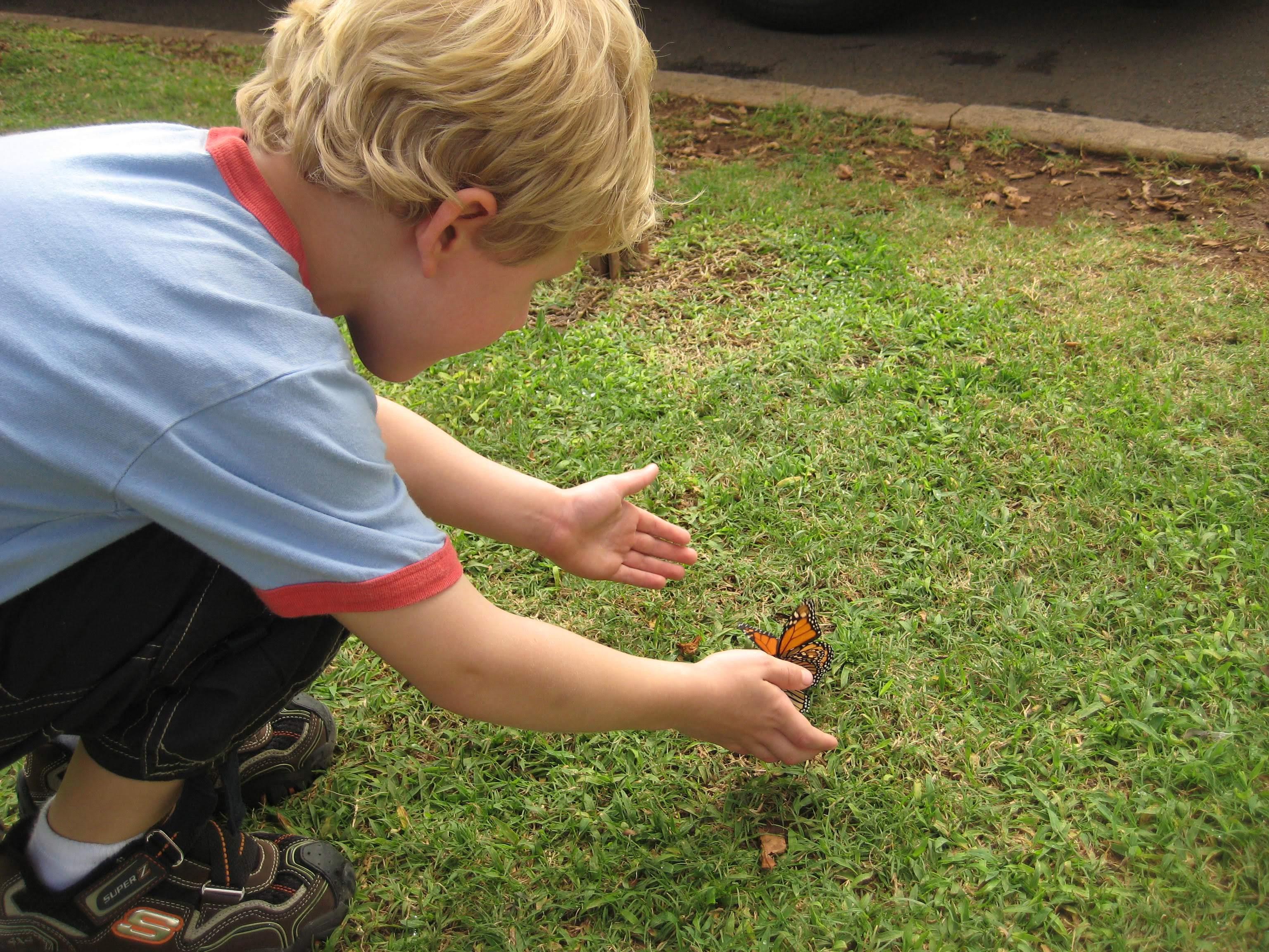 It seems like he always appreciated butterflies