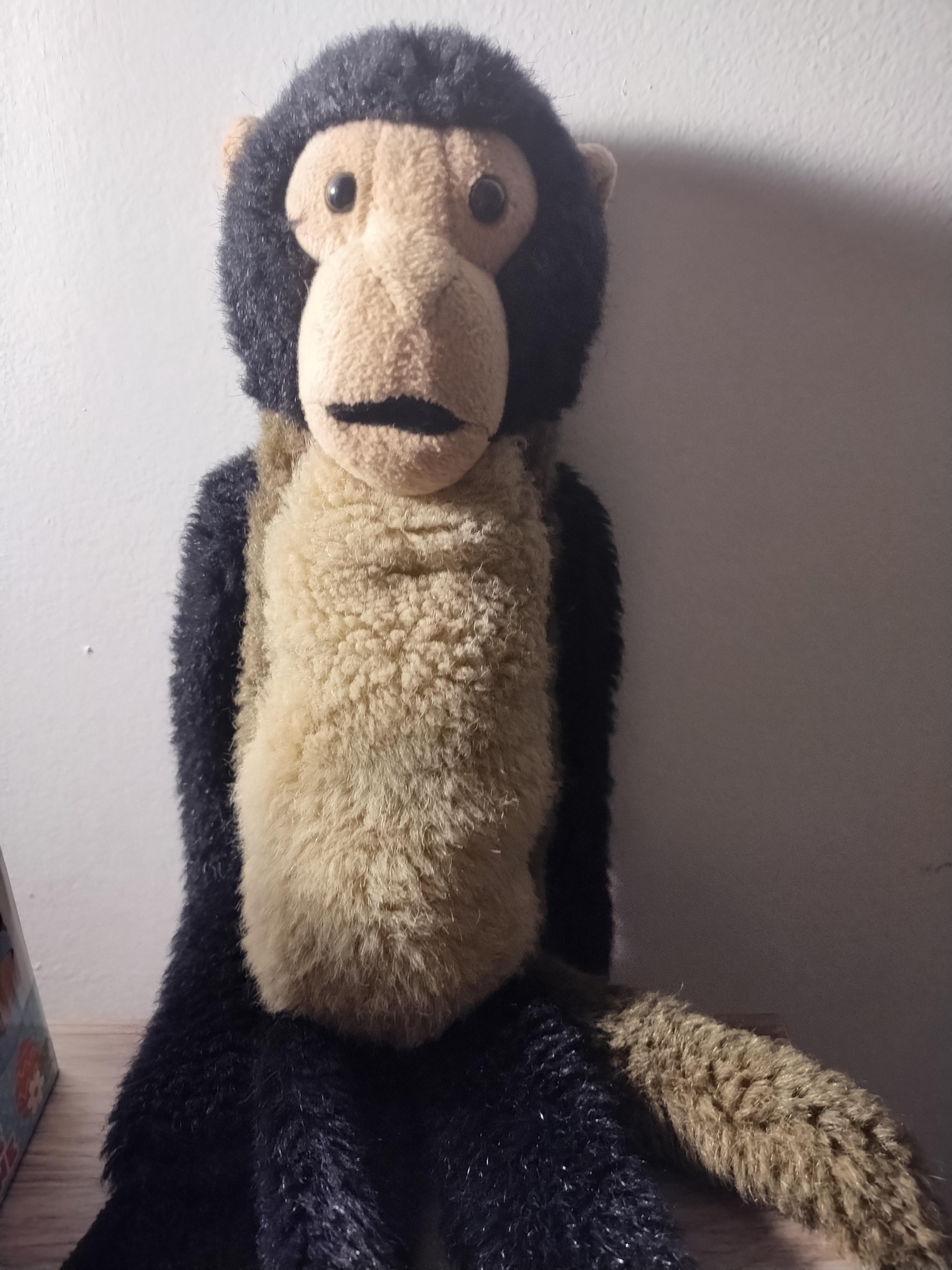 The monkey I got when we went to the New York zoo when I was 7 years old. I've had it for 22 years and now your grandson plays with it.