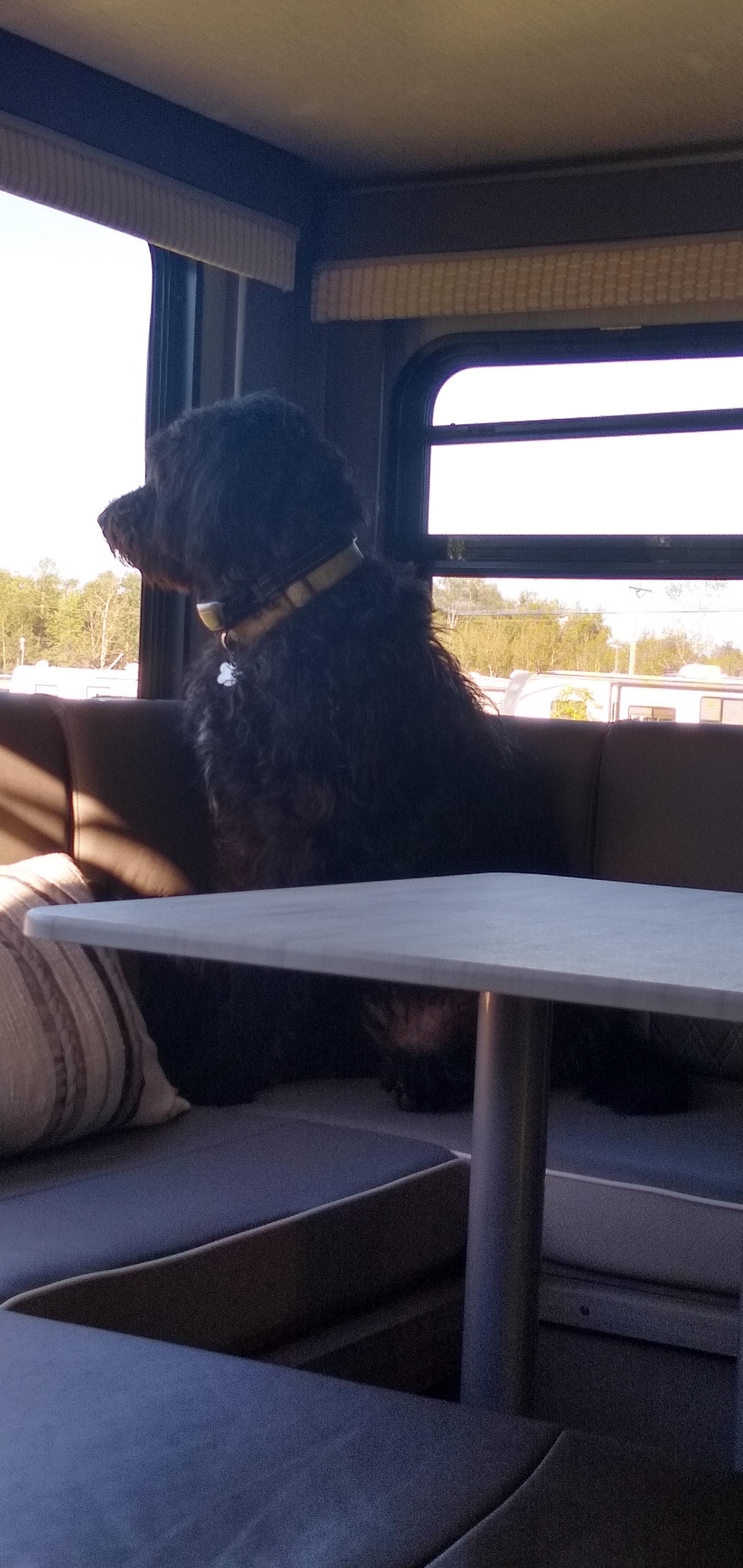 Max camping