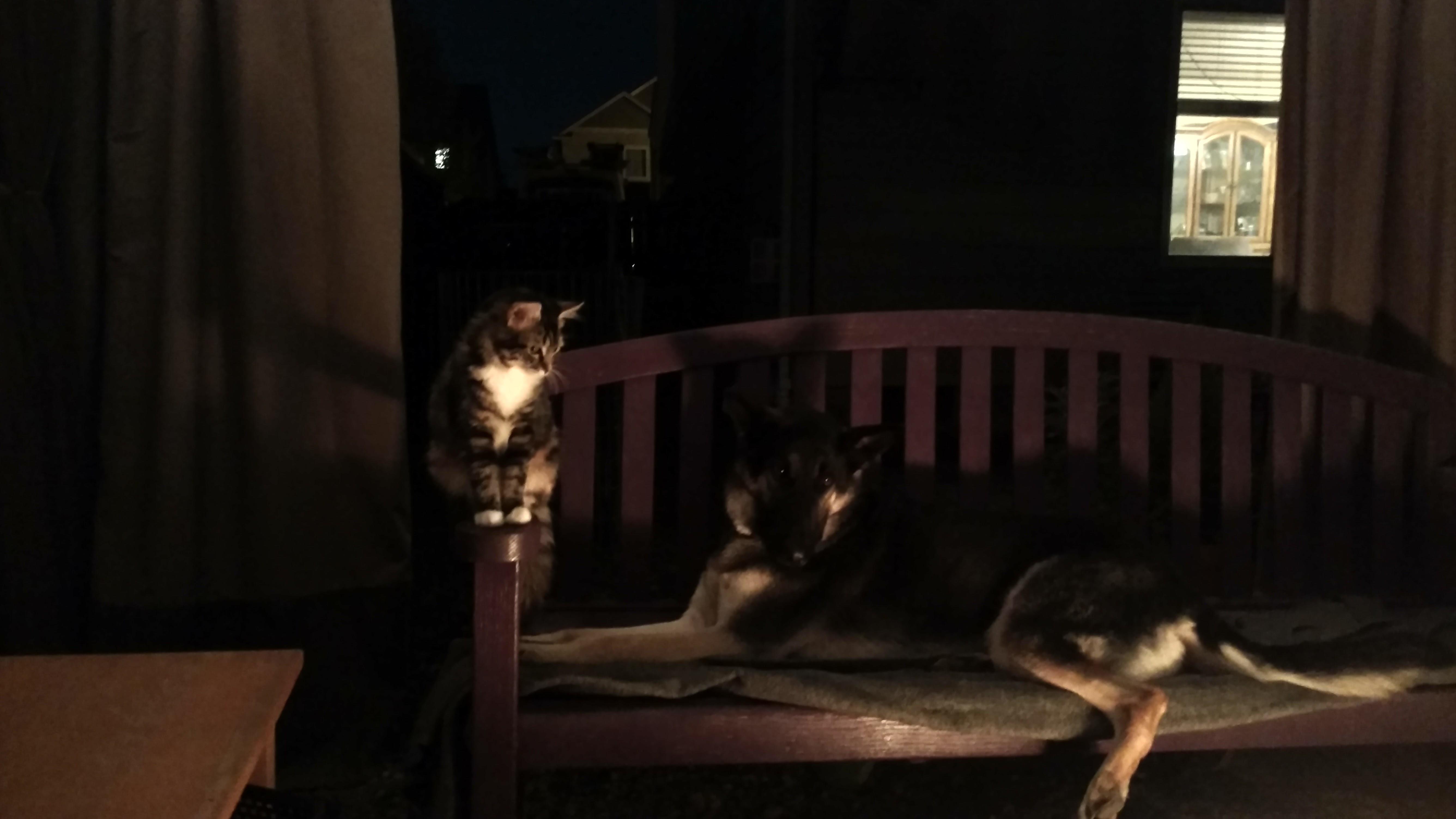 Fire nights