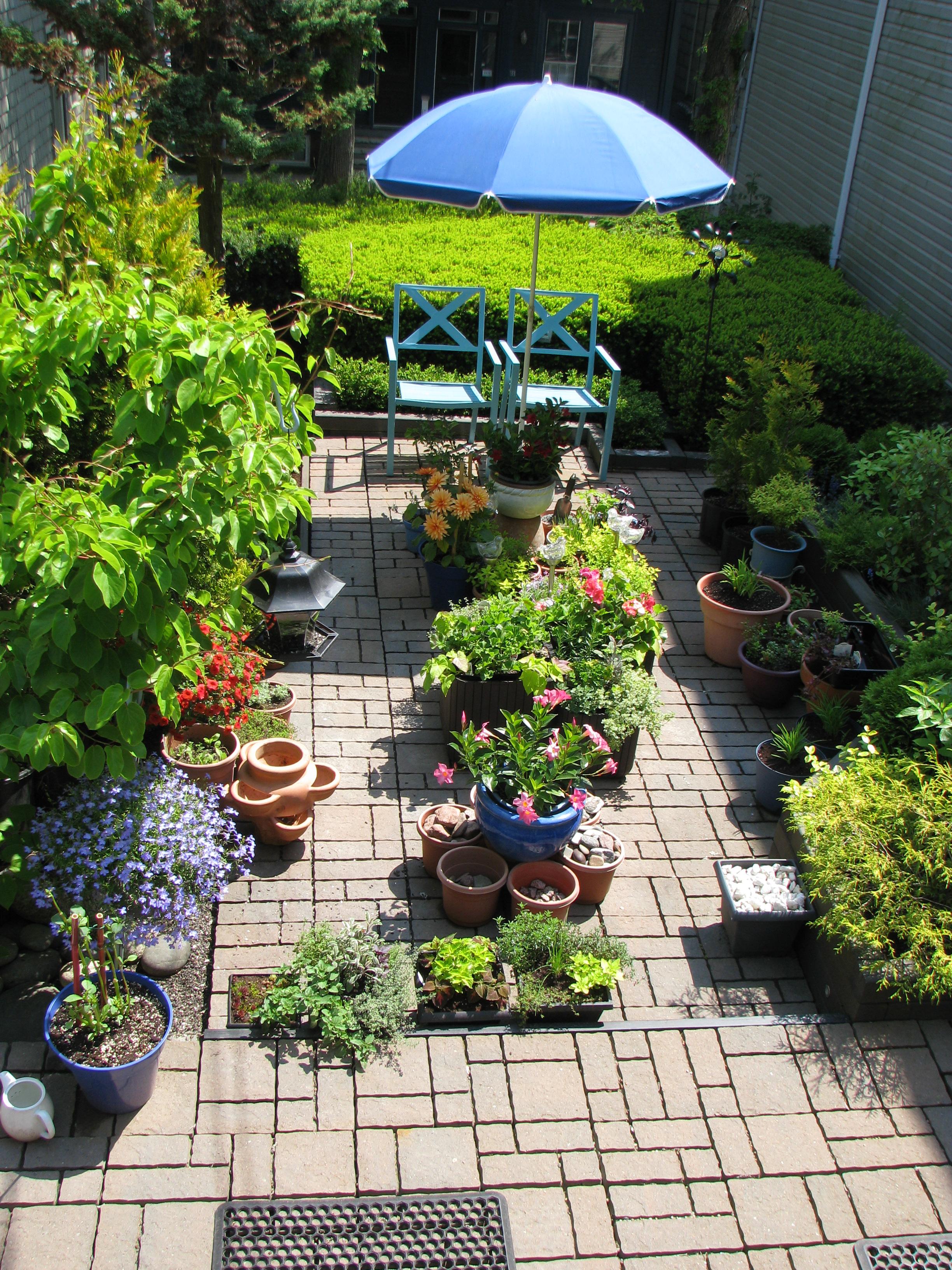 Mom's garden.