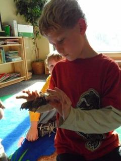 Checking out the bats from the WSU bat lab on campus in kindergarten