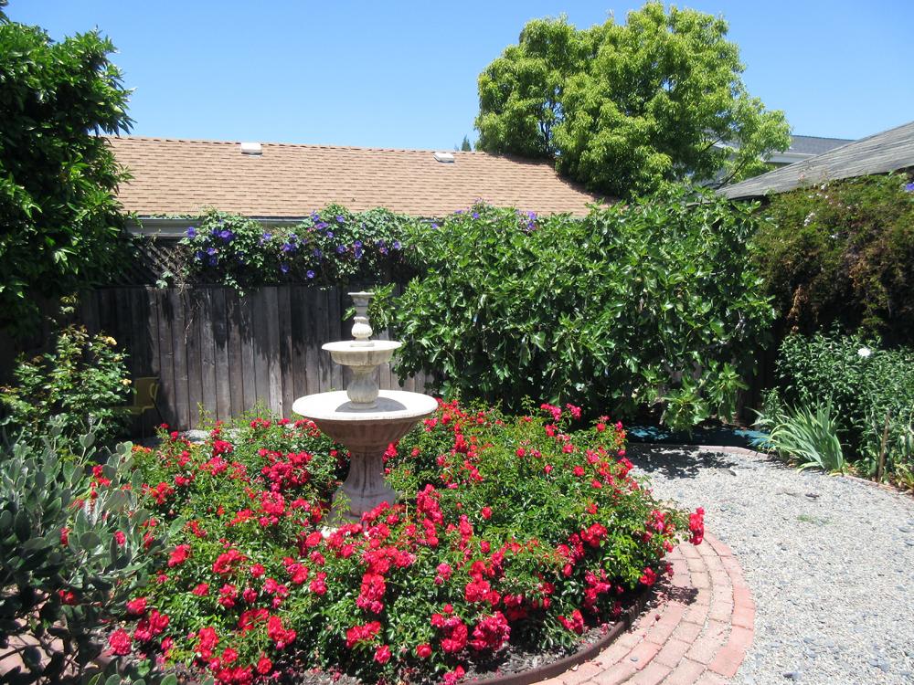 My memories of Ruth always return to the garden she cultivated in Alameda. There’s a song that says,
“Now I walk in Beauty
Beauty is before me
Beauty is behind me
Above and below me…”

Ruth’s garden was the song made real.   https://www.youtube.com/watch?v=E0hZujNbYg8


