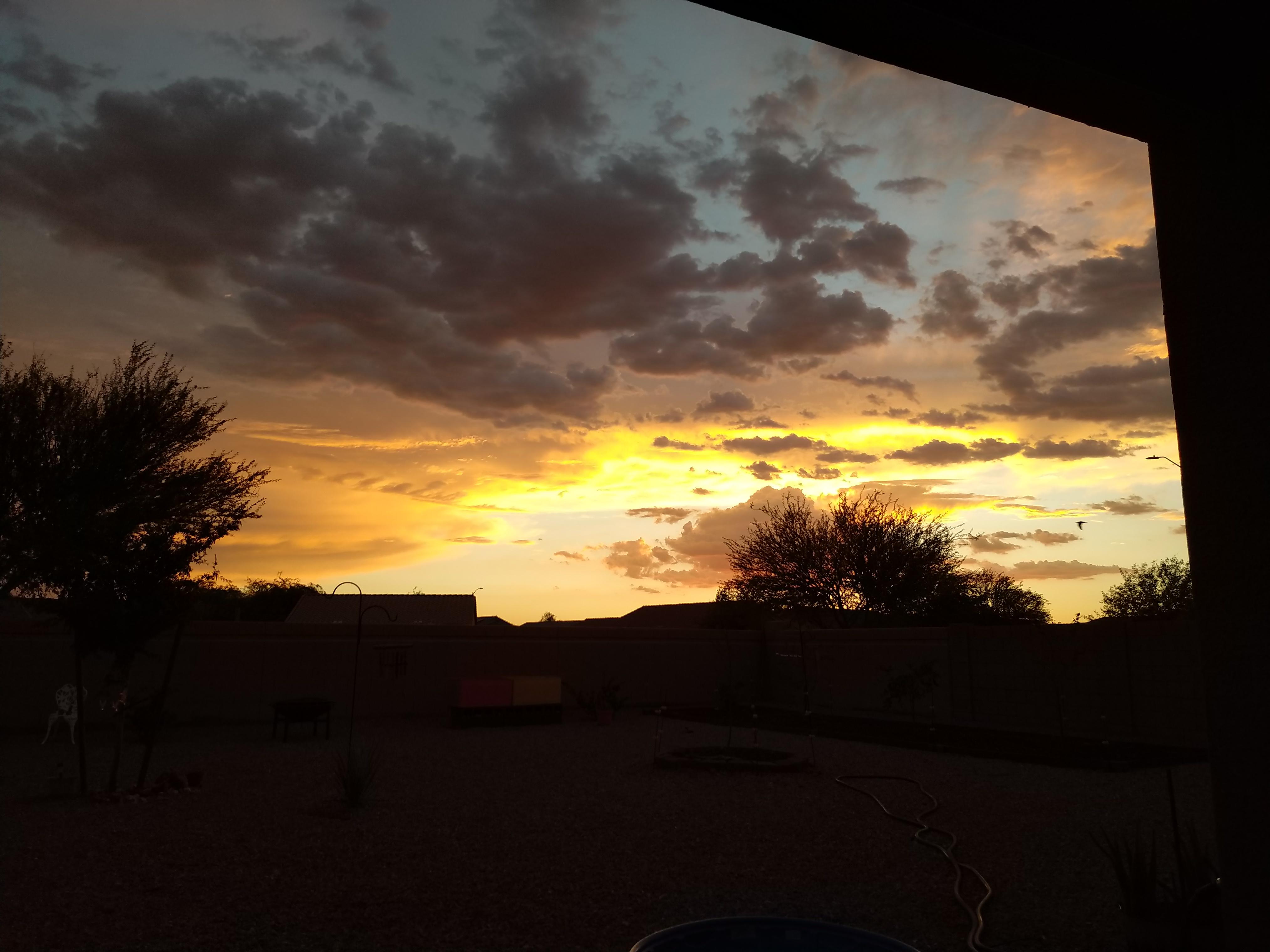 Art loved sunsets, flowers and birds singing!