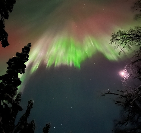 Northern Lights