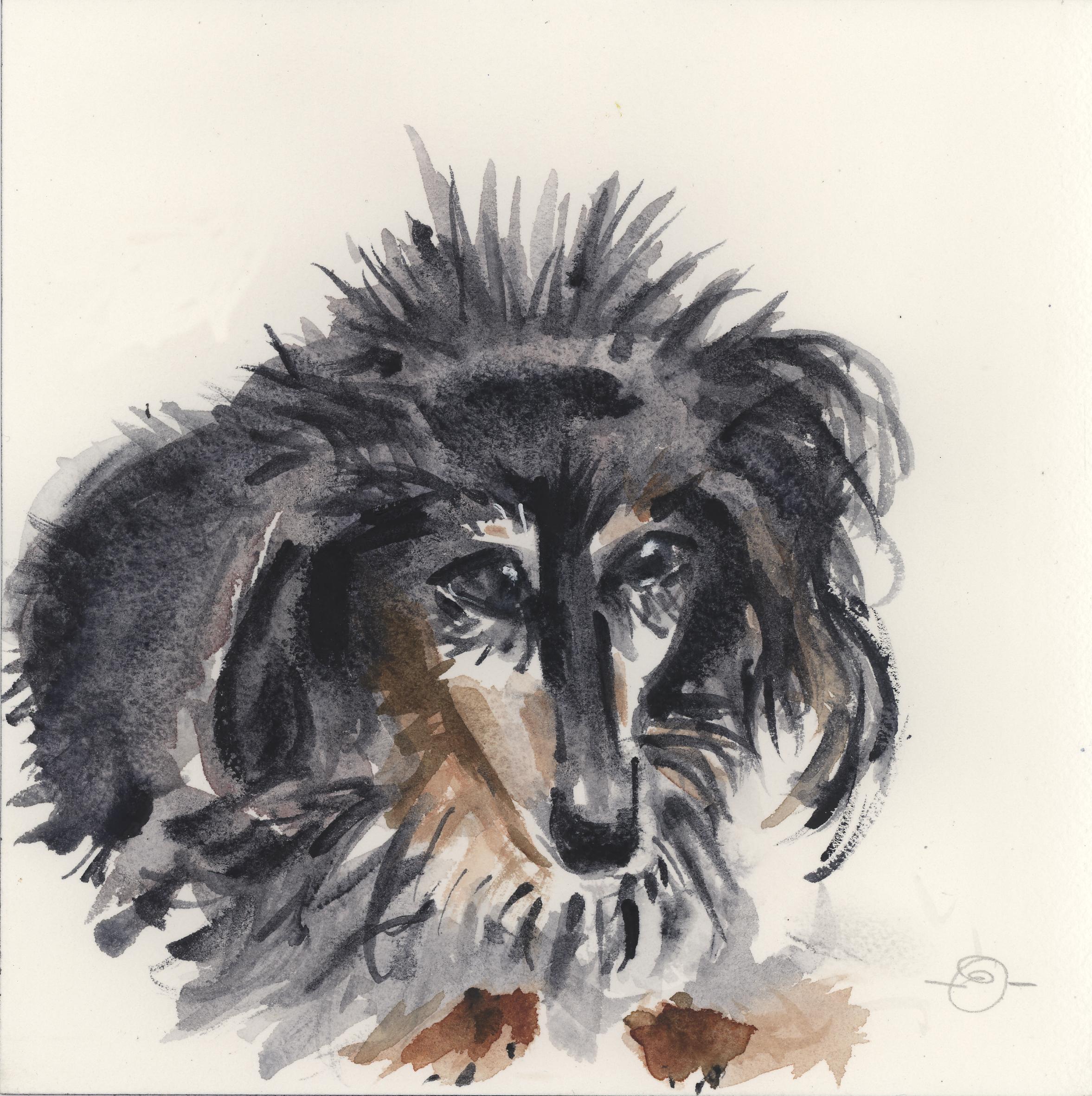Ruth's beloved last dog, Arlo was always by her side. When I visited on June 2nd, Arlo patiently allowed me to paint this watercolor of him.