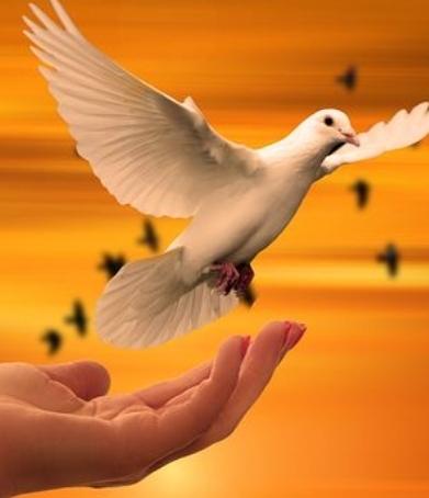 To Richard and Rhondeen, mom has left this earthly life, but find comfort in the legacy of the life she lived.
Sonia, sleep and take your rest. We love you well but Jesus loves you best.
May your soul rest in God's eternal peace 🕊 🕊 🕊.