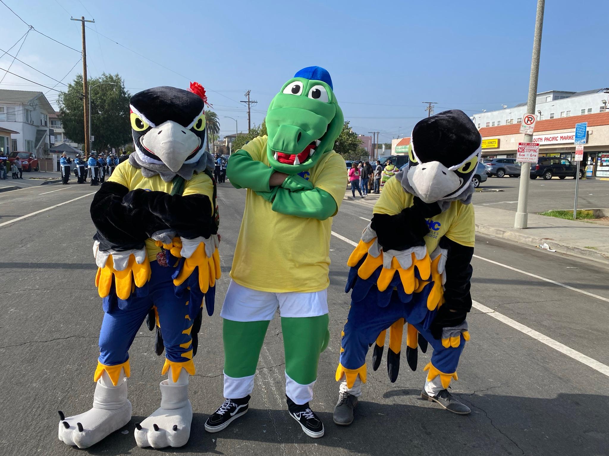 Your favorite!
Peter was always excited to see our Mascots out and about!
Once a Seahawk Always a Seahawk!