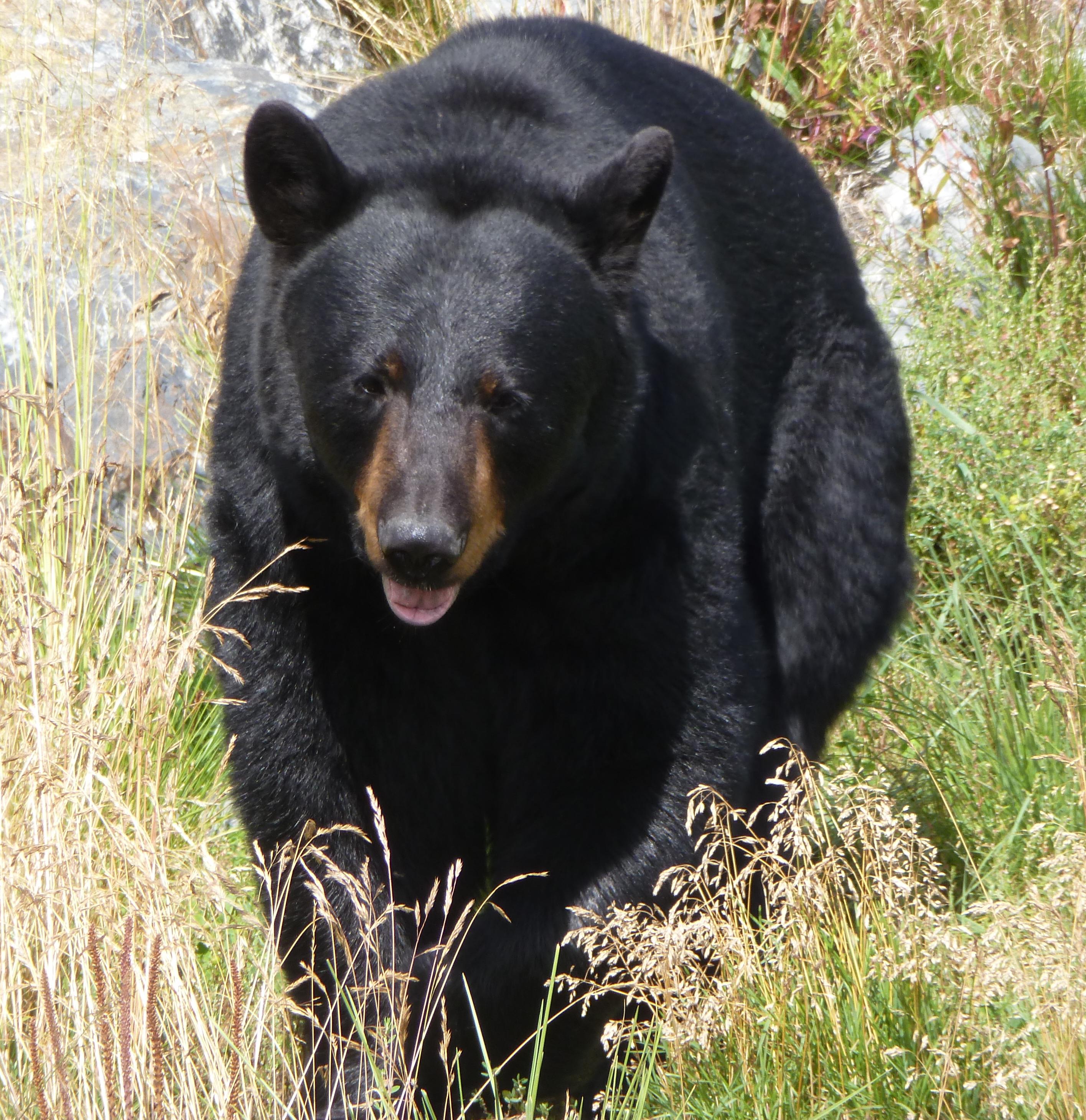Dad always gave us bear hugs.