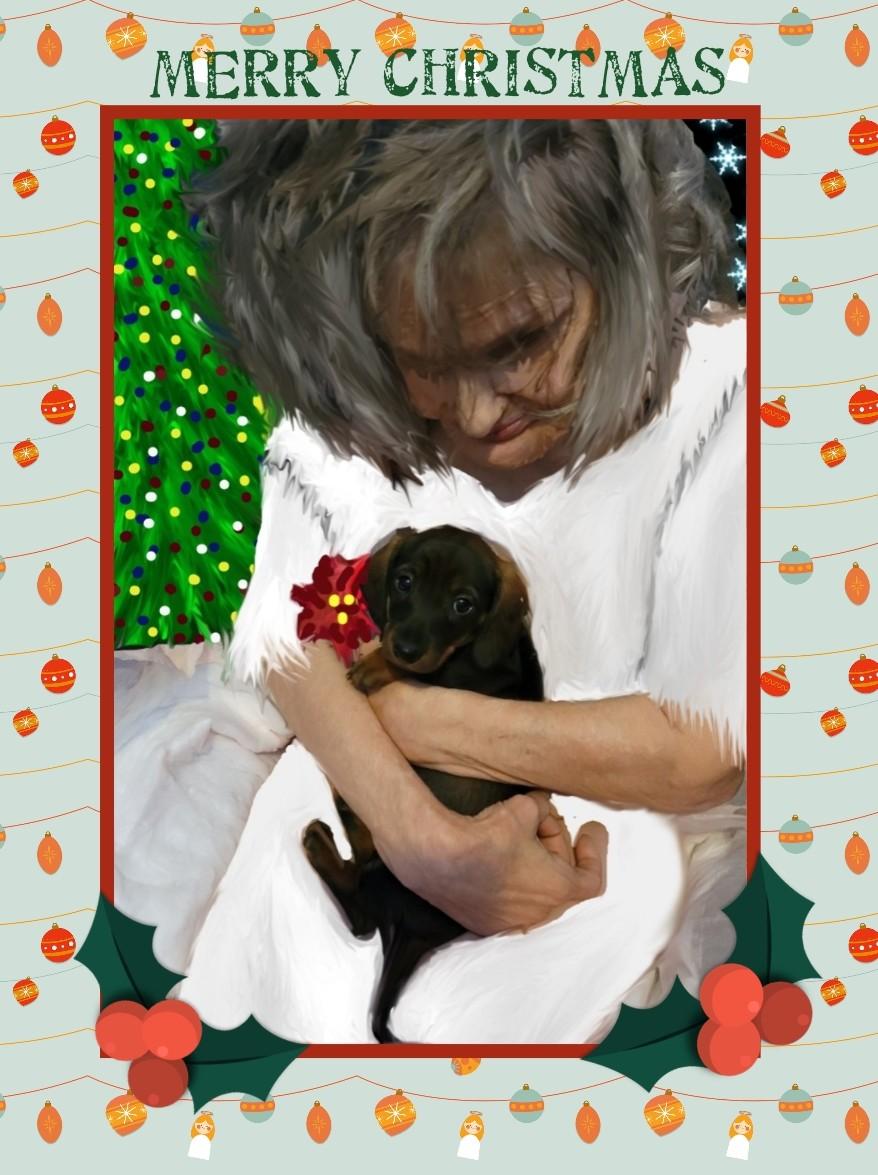 Lauren's favorite pet is kittens but she also loves the puppies.