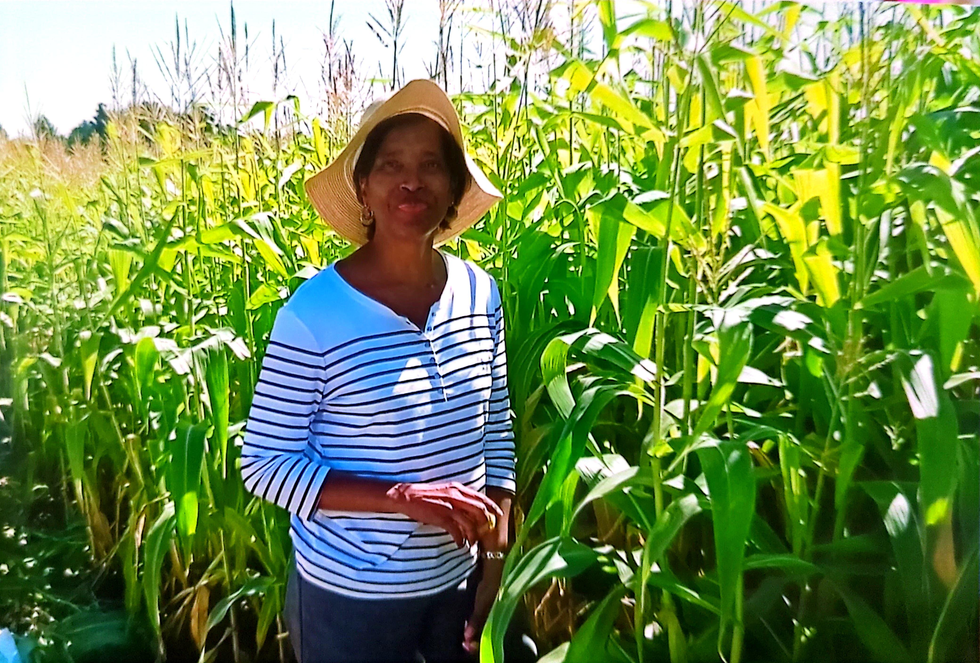 Out enjoying the cornfield.