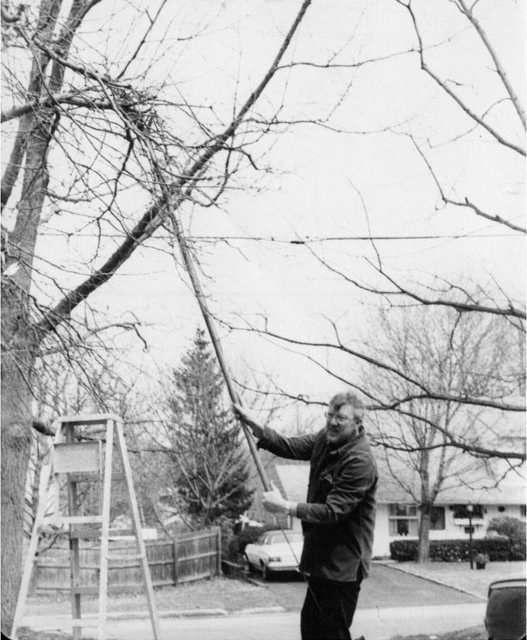 Lyman's Tree Service