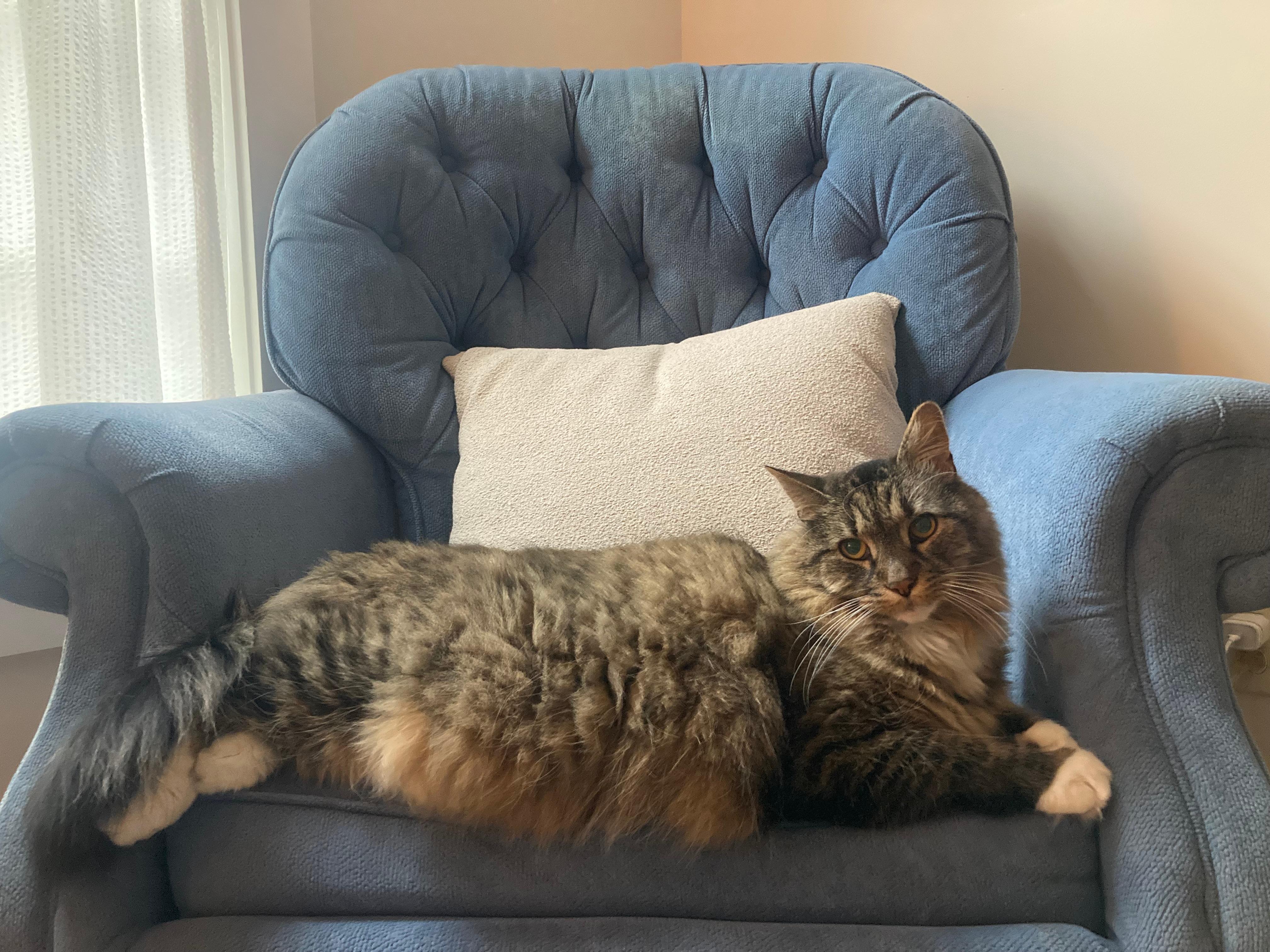 Sebastian
