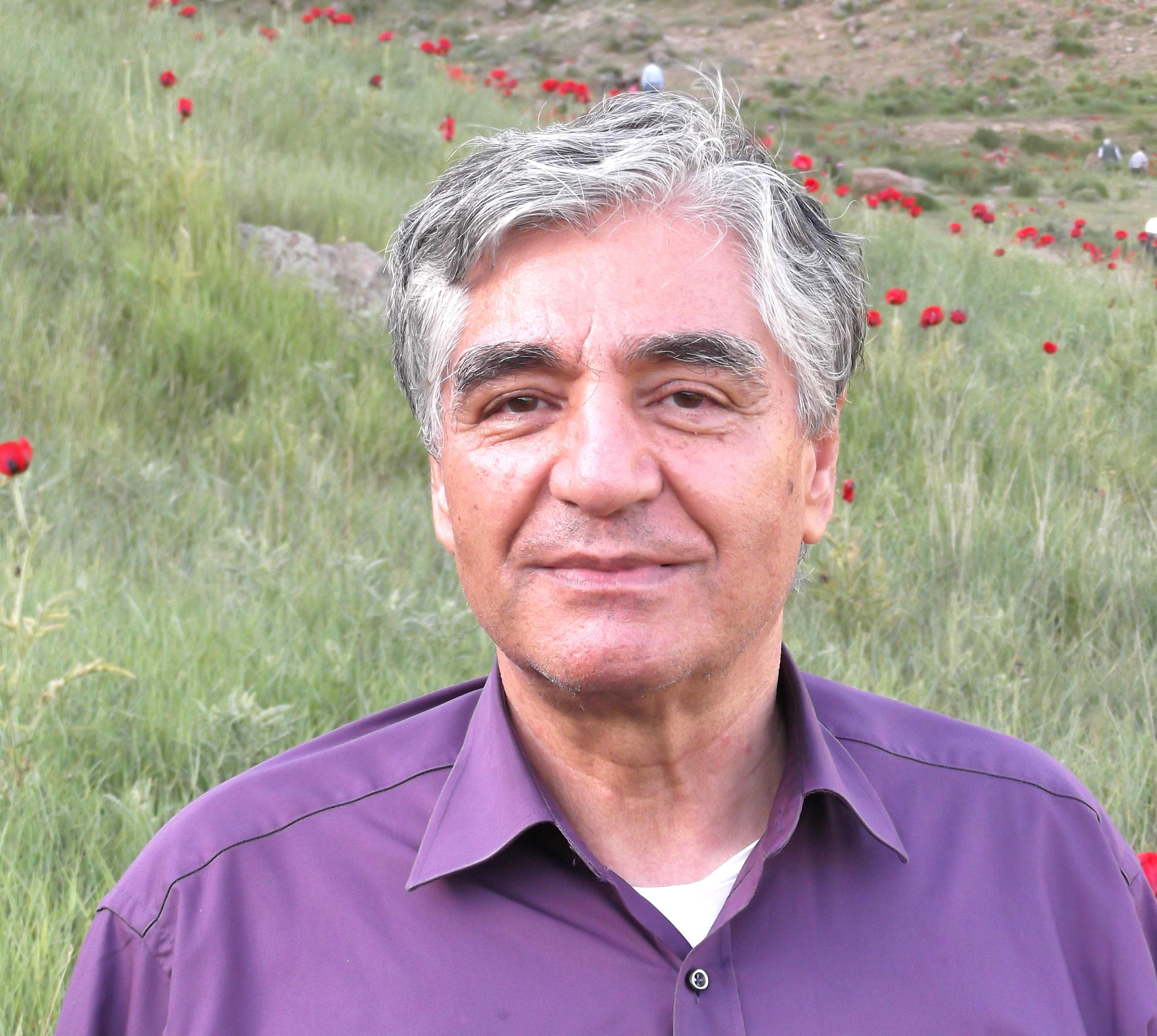 Dr. Bijan Esfandiari (summer 2013)