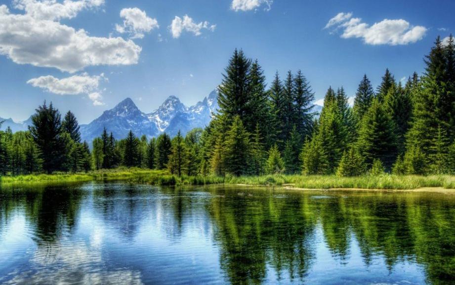   Lorem ipsum dolor sit amet, consectetur adipiscing elit. Aliquam et egestas mauris. 