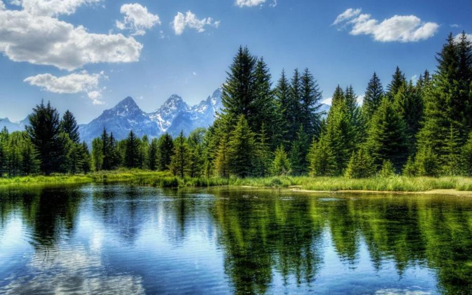 Beautiful landscape